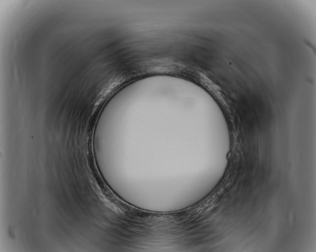 X0000097510106200802220914