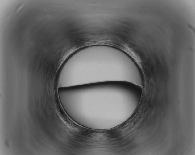 X0000097510107200802220914