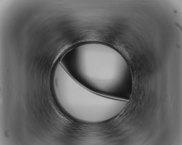 X0000097510108200802220914