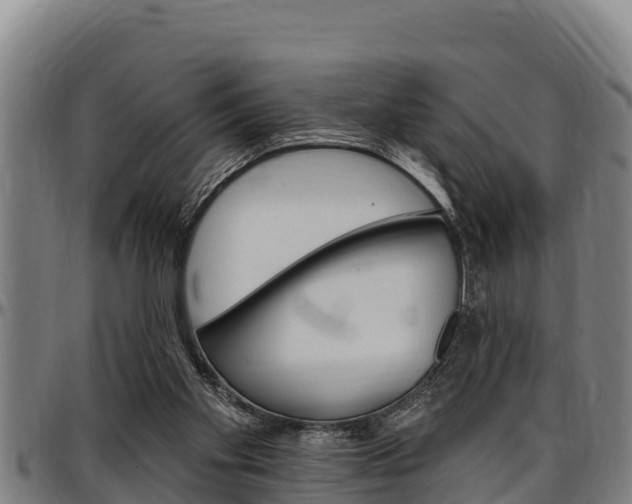 X0000097510109200802220914