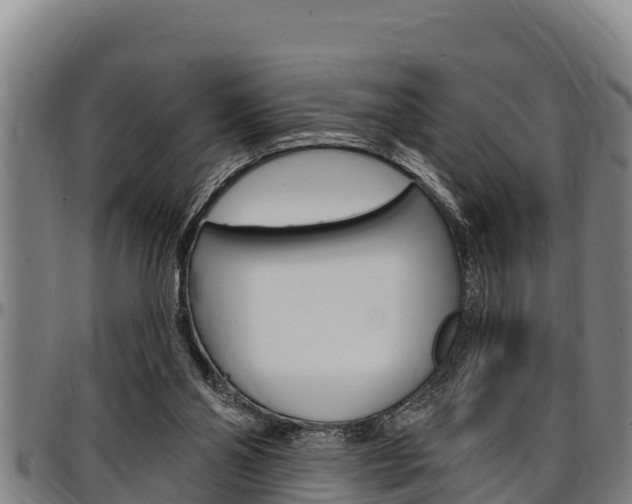 X0000097510110200802220914