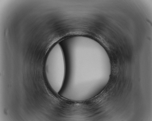 X0000097510111200802220914