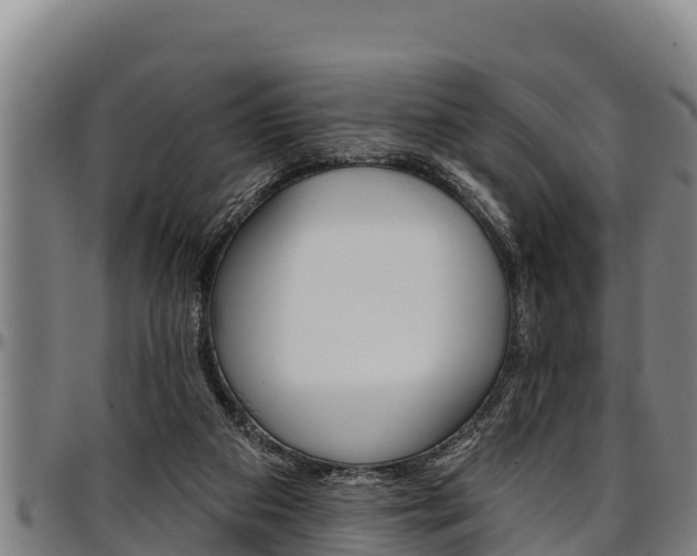 X0000097510113200802220914