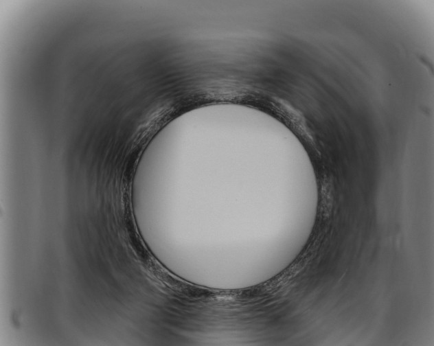X0000097510114200802220914