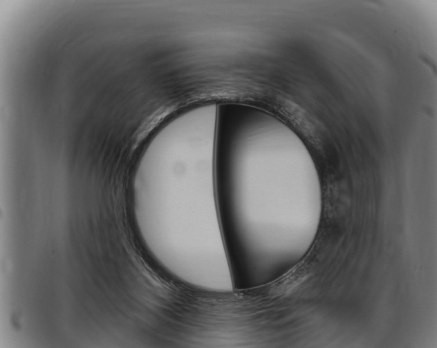 X0000097510116200802220914