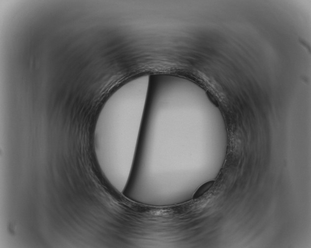 X0000097510117200802220914