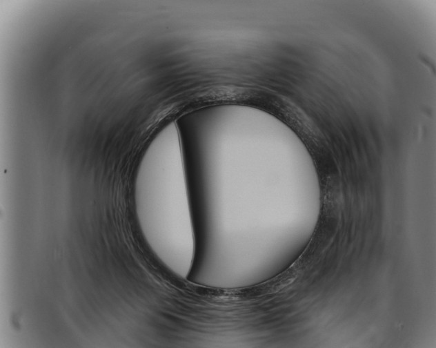 X0000097510119200802220914
