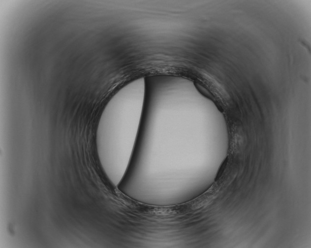 X0000097510121200802220914