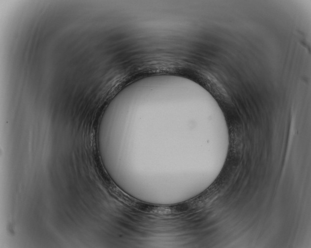 X0000097510123200802220914