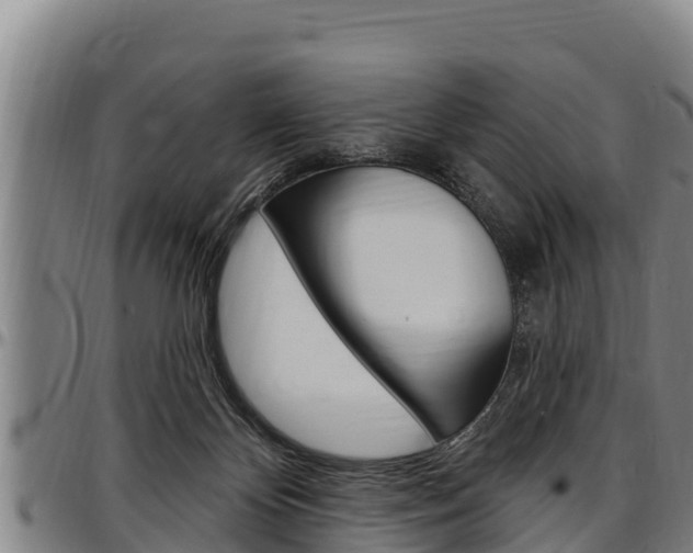 X0000097510124200802220914