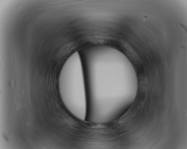 X0000097510125200802220914