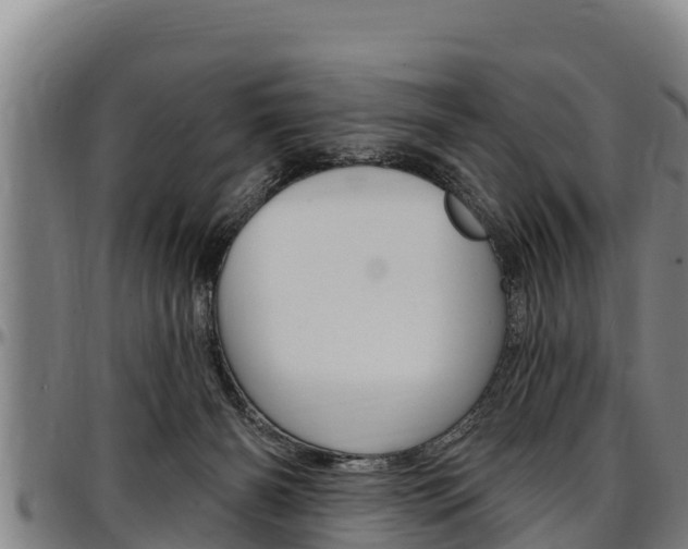 X0000097510126200802220914