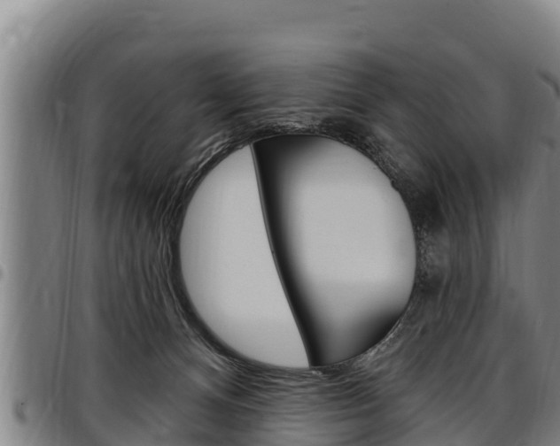 X0000097510128200802220914