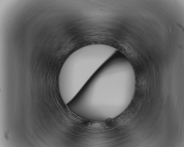 X0000097510129200802220914