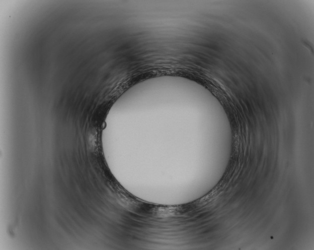 X0000097510134200802220914