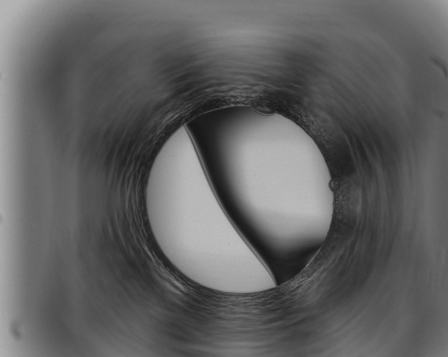 X0000097510137200802220914