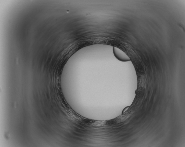 X0000097510138200802220914