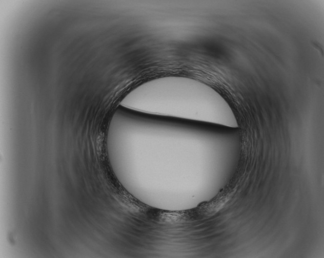 X0000097510139200802220914