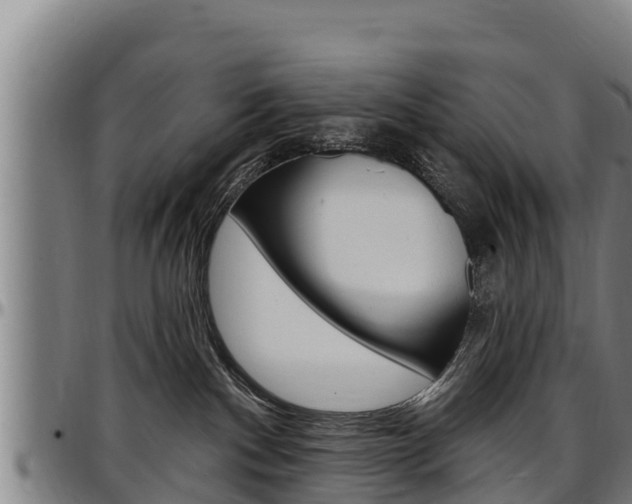 X0000097510140200802220914