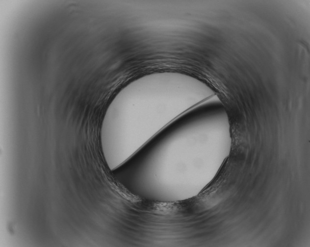X0000097510141200802220914