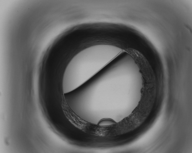 X0000097510143200802220914