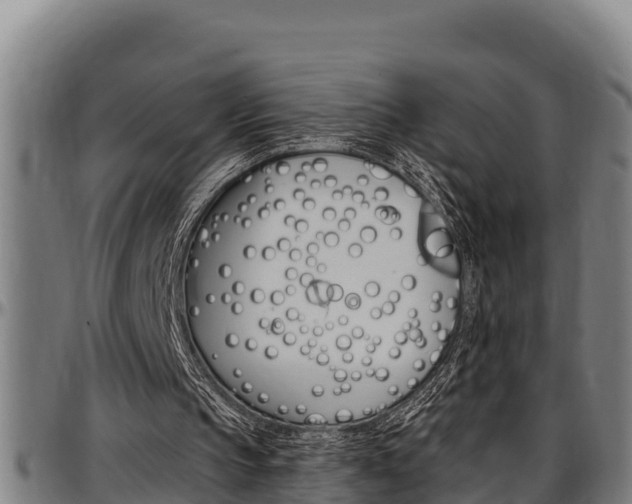 X0000097510145200802220913