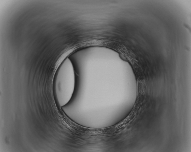 X0000097510147200802220913
