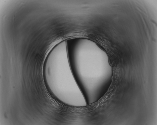 X0000097510148200802220913