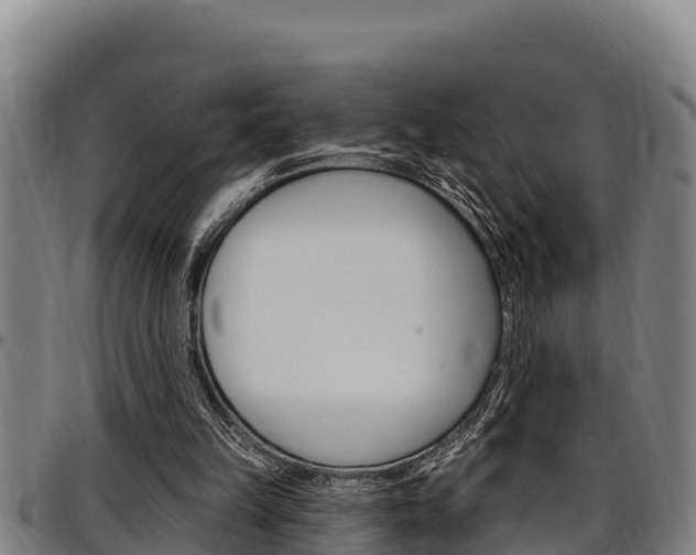 X0000097510149200802220913