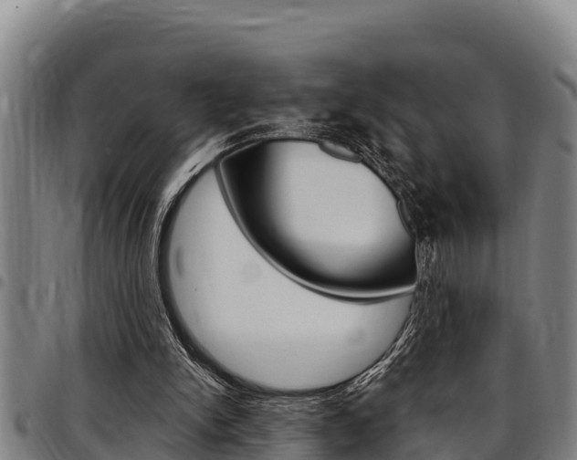 X0000097510150200802220913