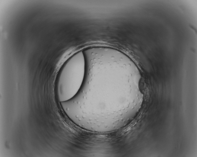 X0000097510151200802220913