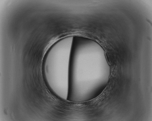 X0000097510152200802220913