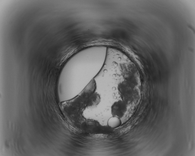 X0000097510153200802220913