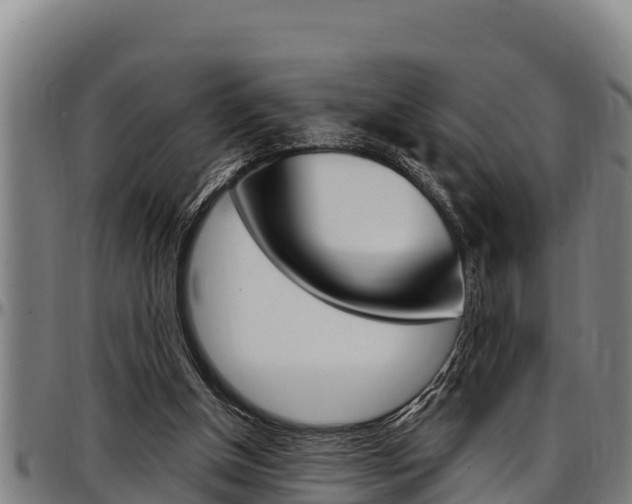 X0000097510154200802220913