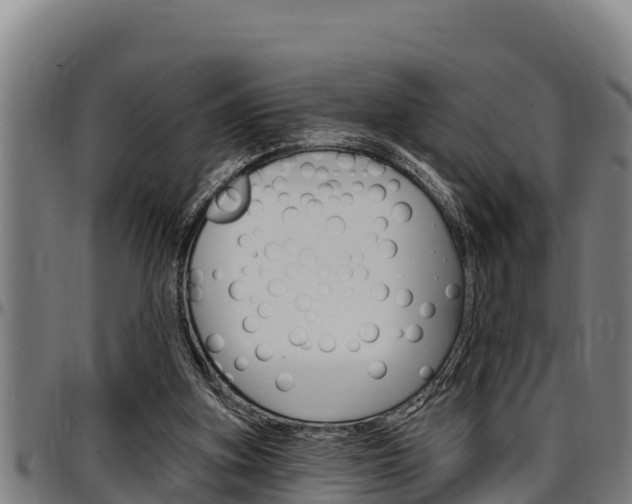 X0000097510155200802220913
