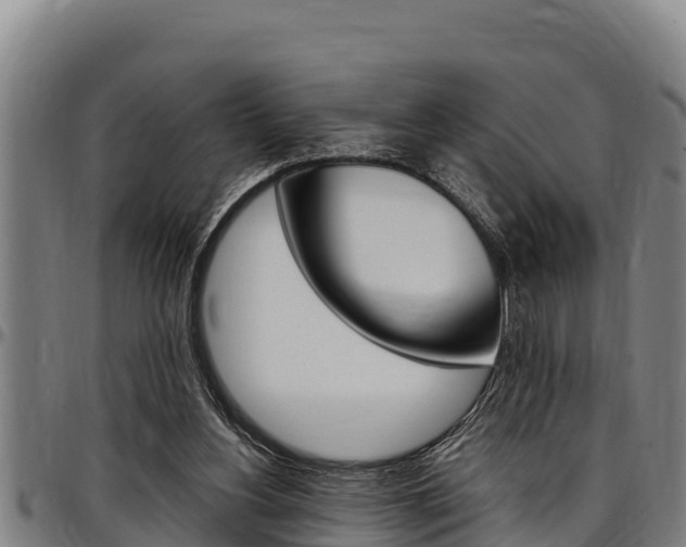X0000097510156200802220913