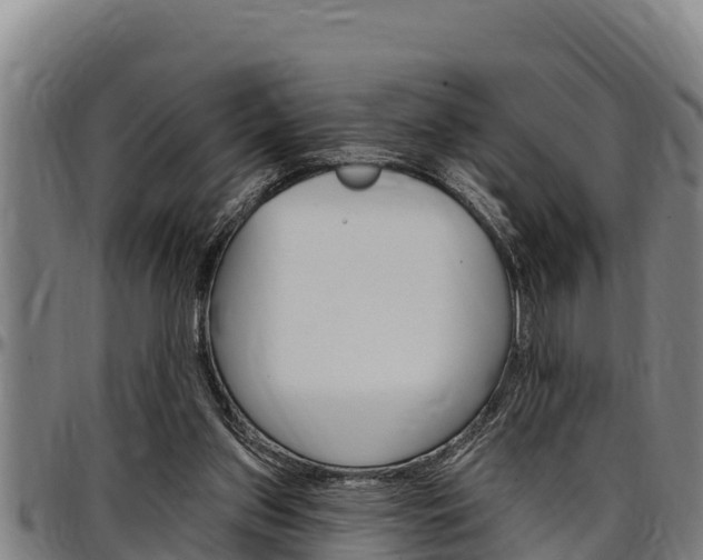 X0000097510157200802220913