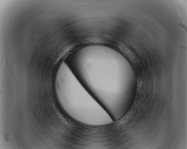 X0000097510158200802220913