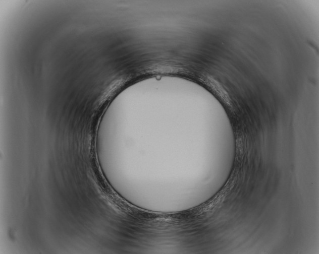 X0000097510159200802220913
