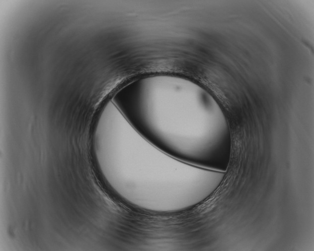 X0000097510160200802220913