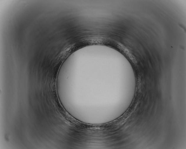 X0000097510161200802220913