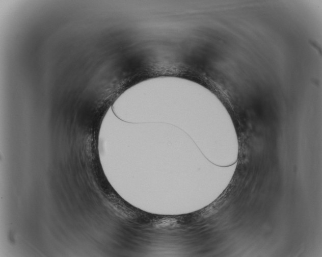 X0000097510162200802220913