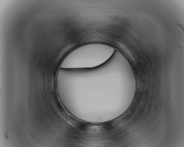 X0000097510163200802220913