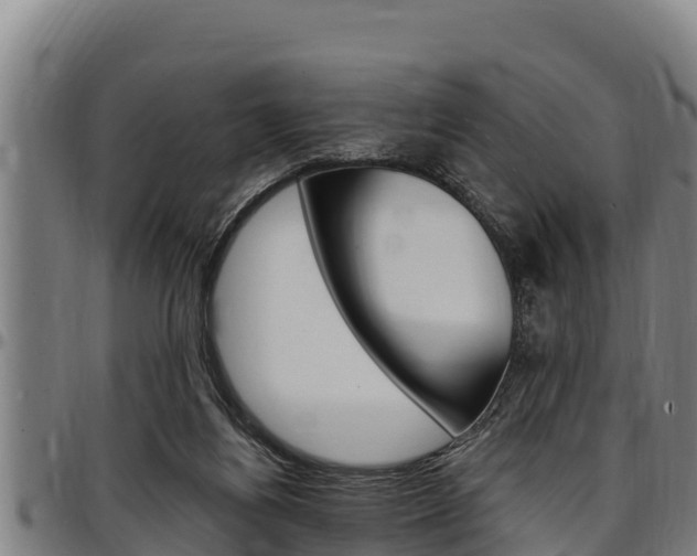 X0000097510164200802220913