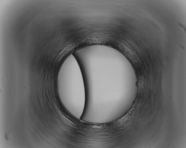 X0000097510166200802220913