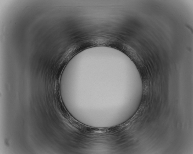 X0000097510167200802220913