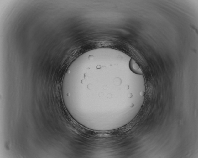 X0000097510169200802220913