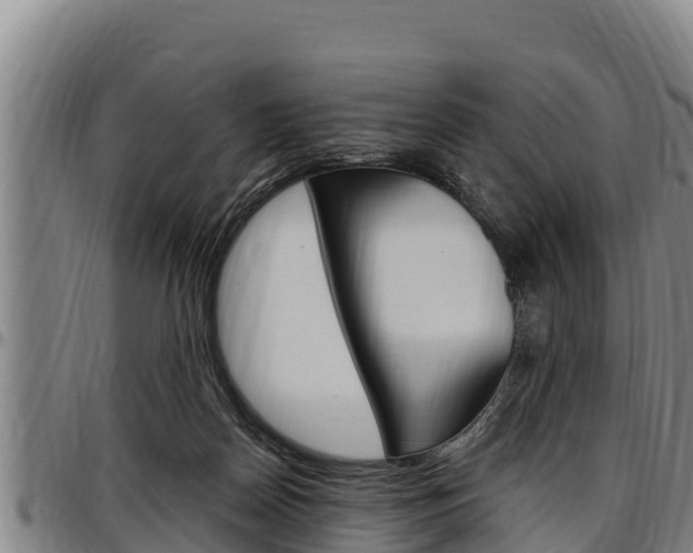 X0000097510170200802220913