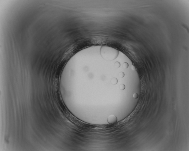 X0000097510171200802220913