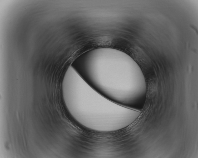 X0000097510172200802220913